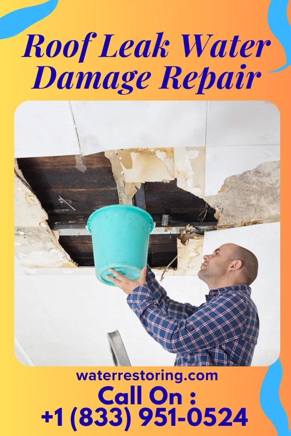 Roof Leak Water Damage Repair in Jet, OK